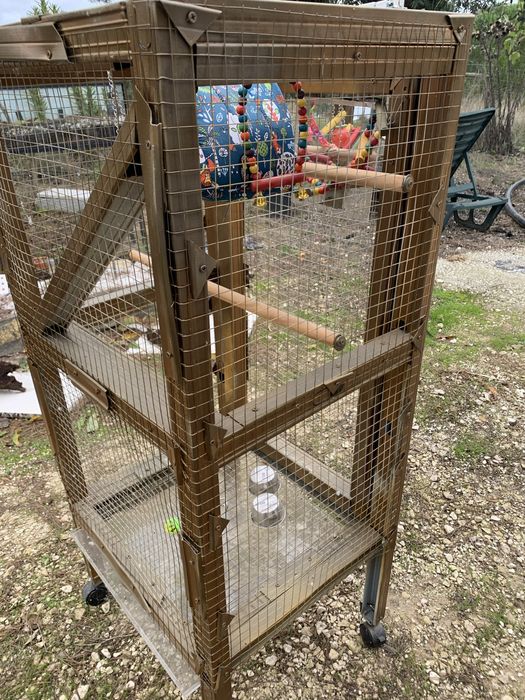 Gaiola passaro grande