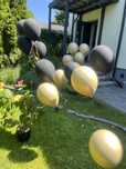 Balony urodzinowe napełnione helem + 35 zwyklych czarno- + dodatkzłote