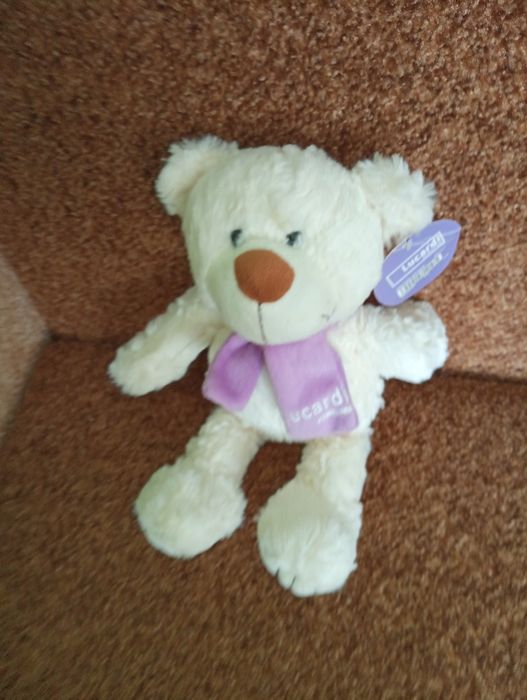 Новий фірмовий мішутка