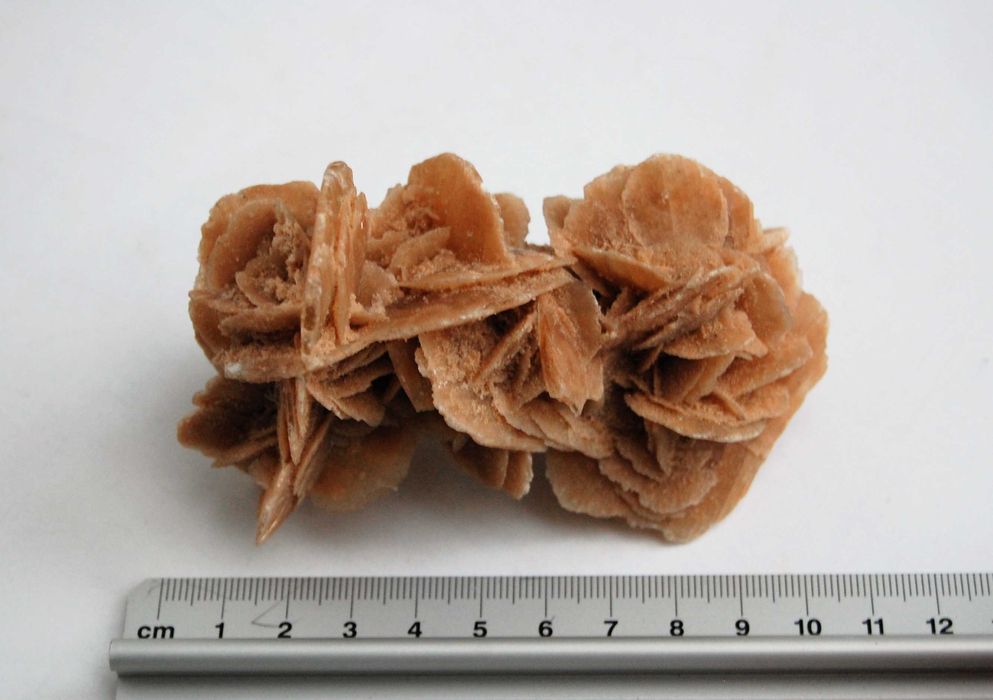 Róża pustyni, kamień, Sahara, 10 cm