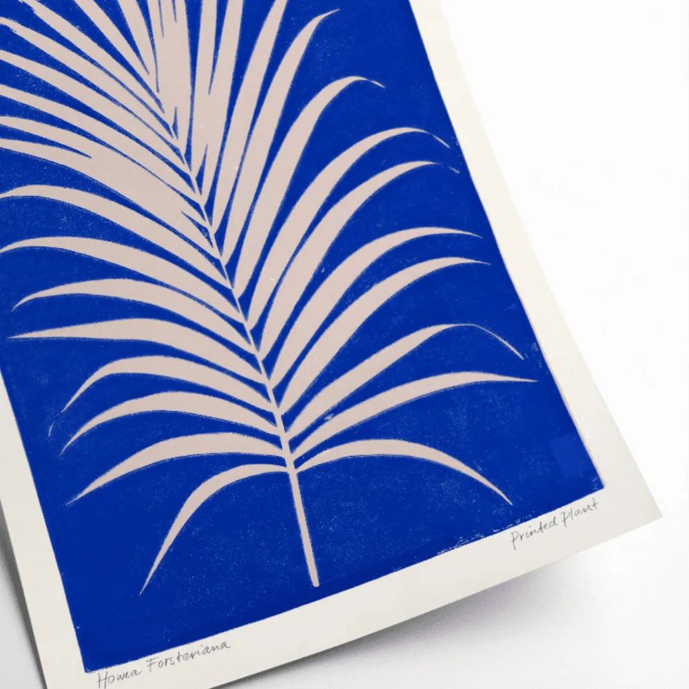 Plakat Palma Howea II / Printed Plant 50x70 cm