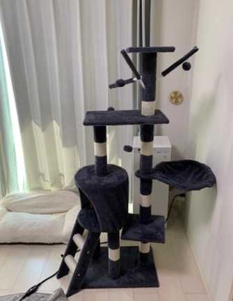 Хатка для кота з кігтеточкою