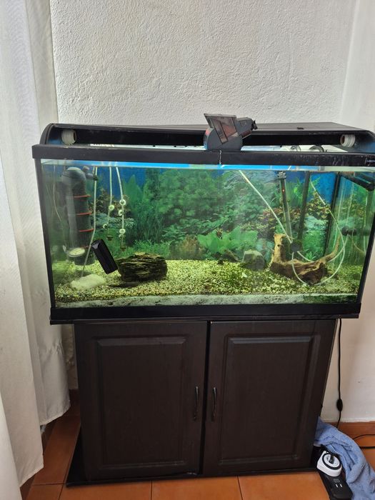 Aquário com móvel e filtros 200l
