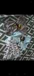 Nowe body 3 szt Batman 68cm