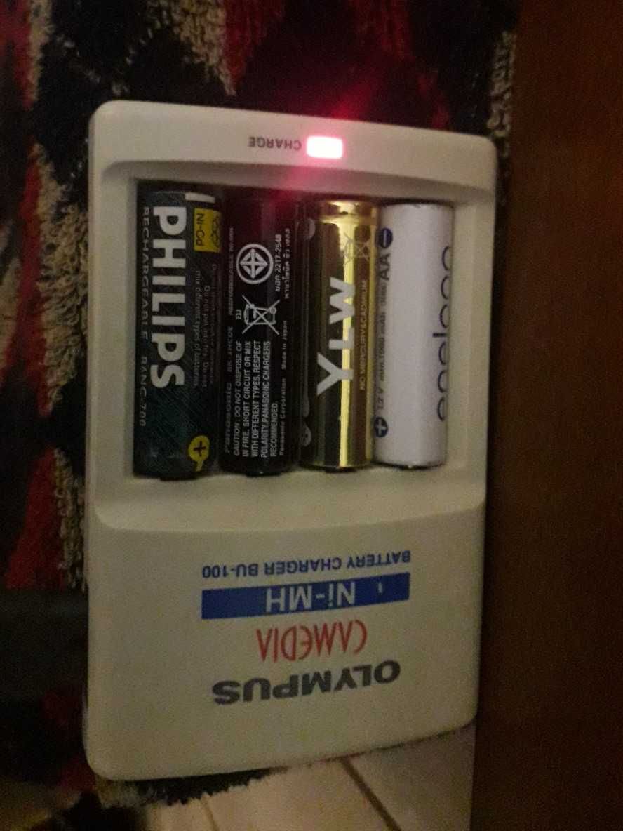 Ładowarka Olympus BU-100