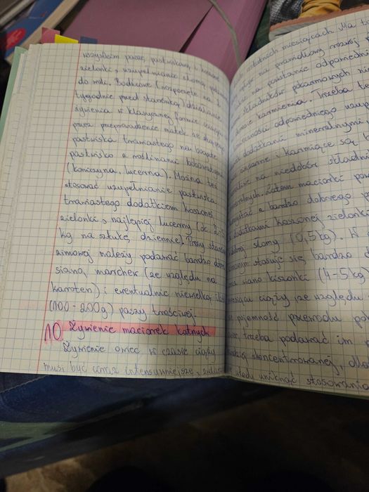 Notatki chow zwierzat
