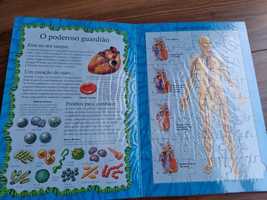 Livro -Puzzle corpo humano_Novo