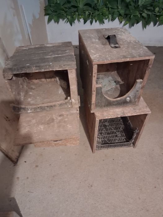 Ninhos postura ou choco