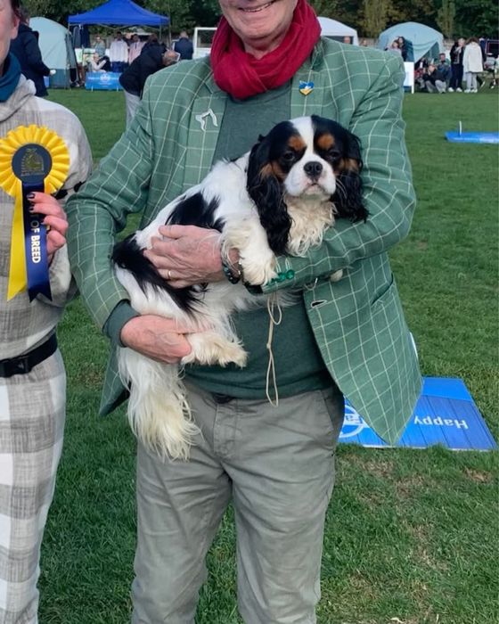 В'язка чемпіон Румунії, України кавалер Київ КСУ FCI