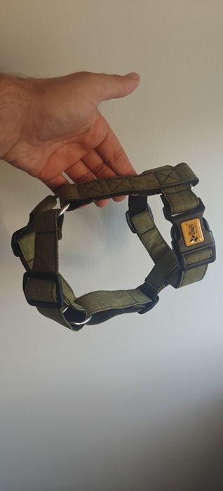 Dingo Szelki Guard Scandi S Zielone