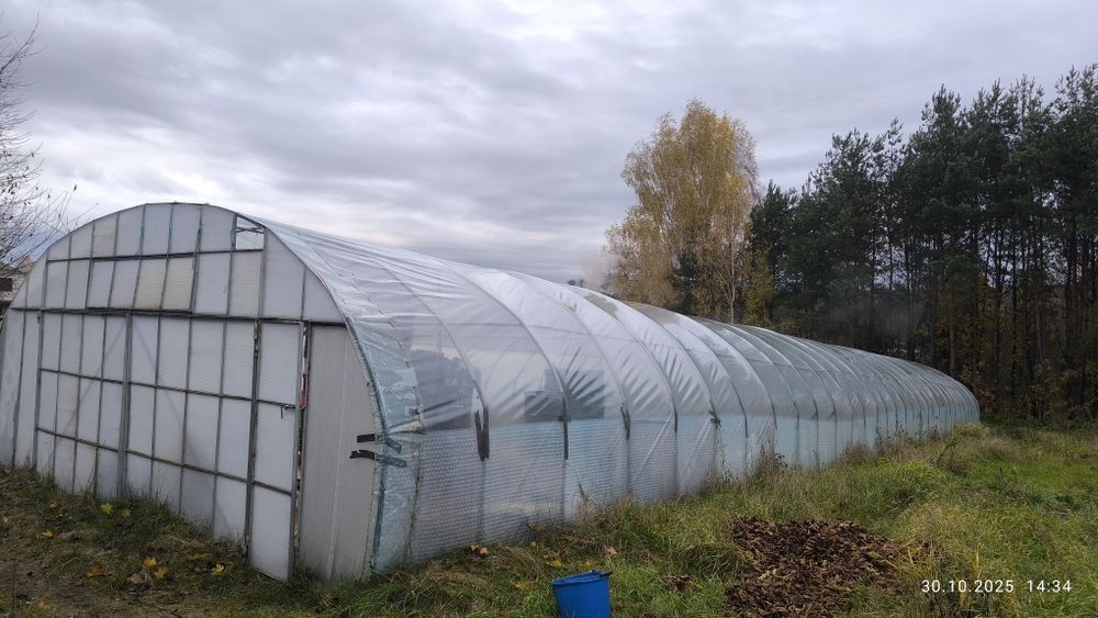 Sprzedam szklarnię