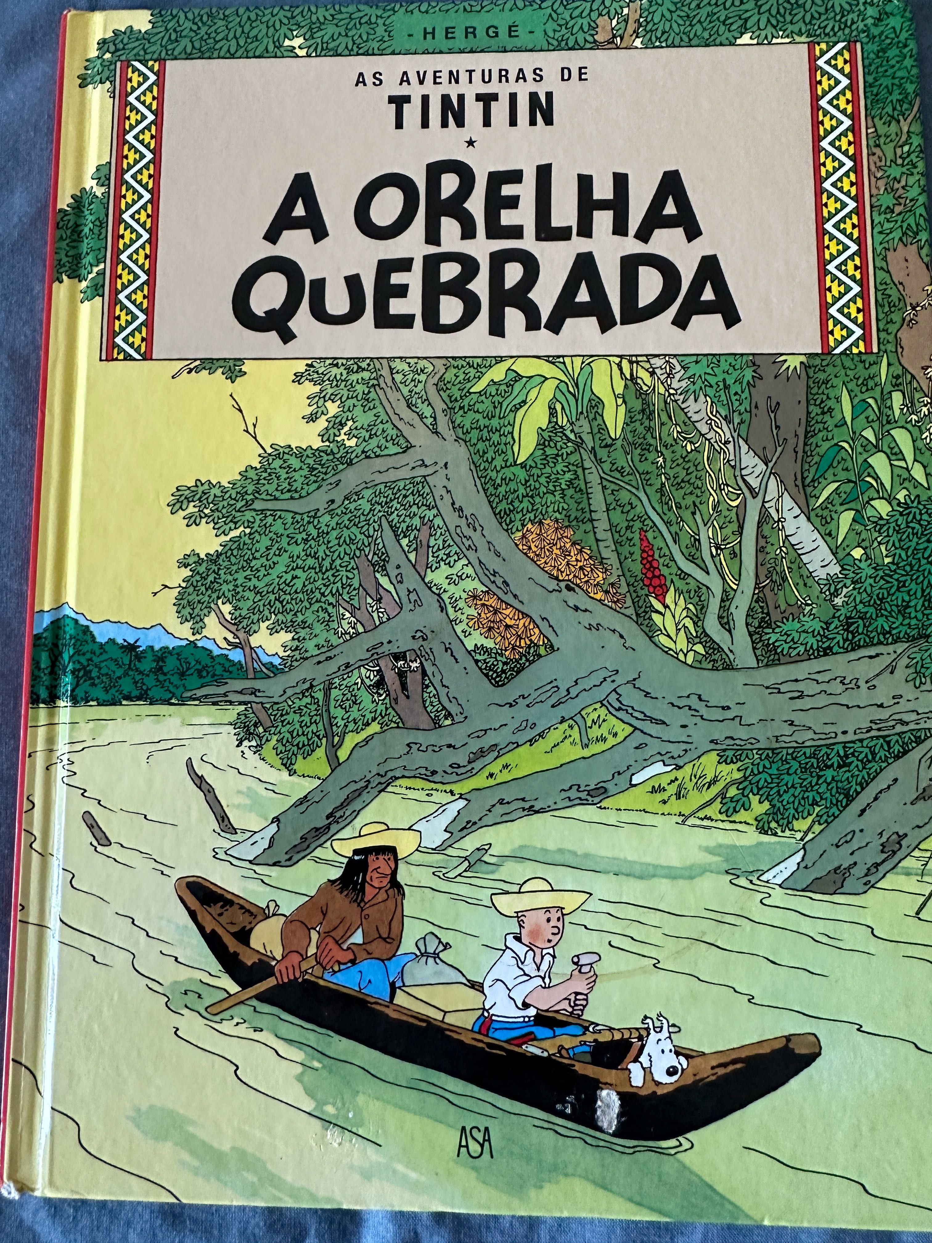 Tintin - Livros de aventura em banda desenhada