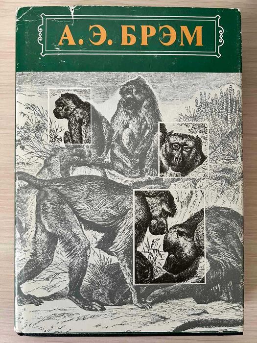 Жизнь животных. Том 1. Млекопитающие