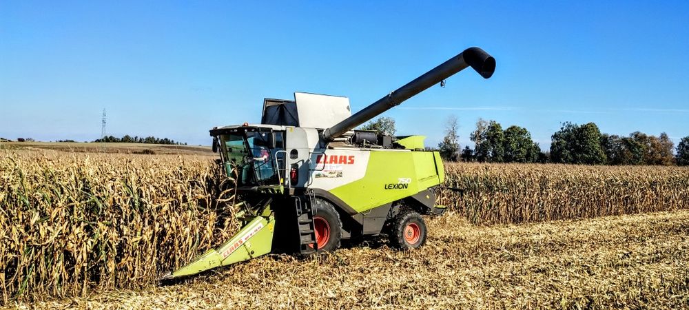 Usługa zbioru zboża, rzepaku, kukurydzy