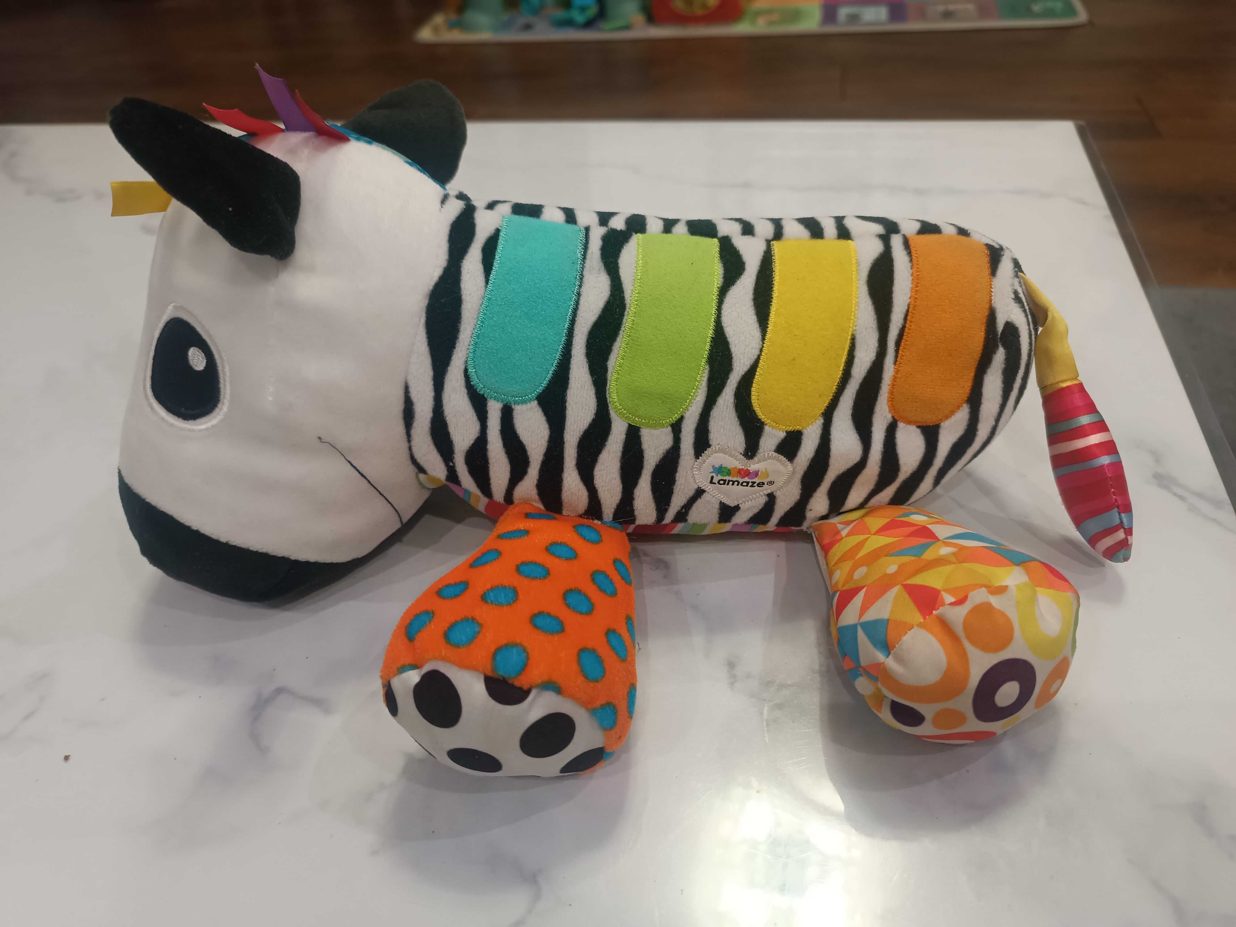 Lamaze - koncertowa zebra Kosimo