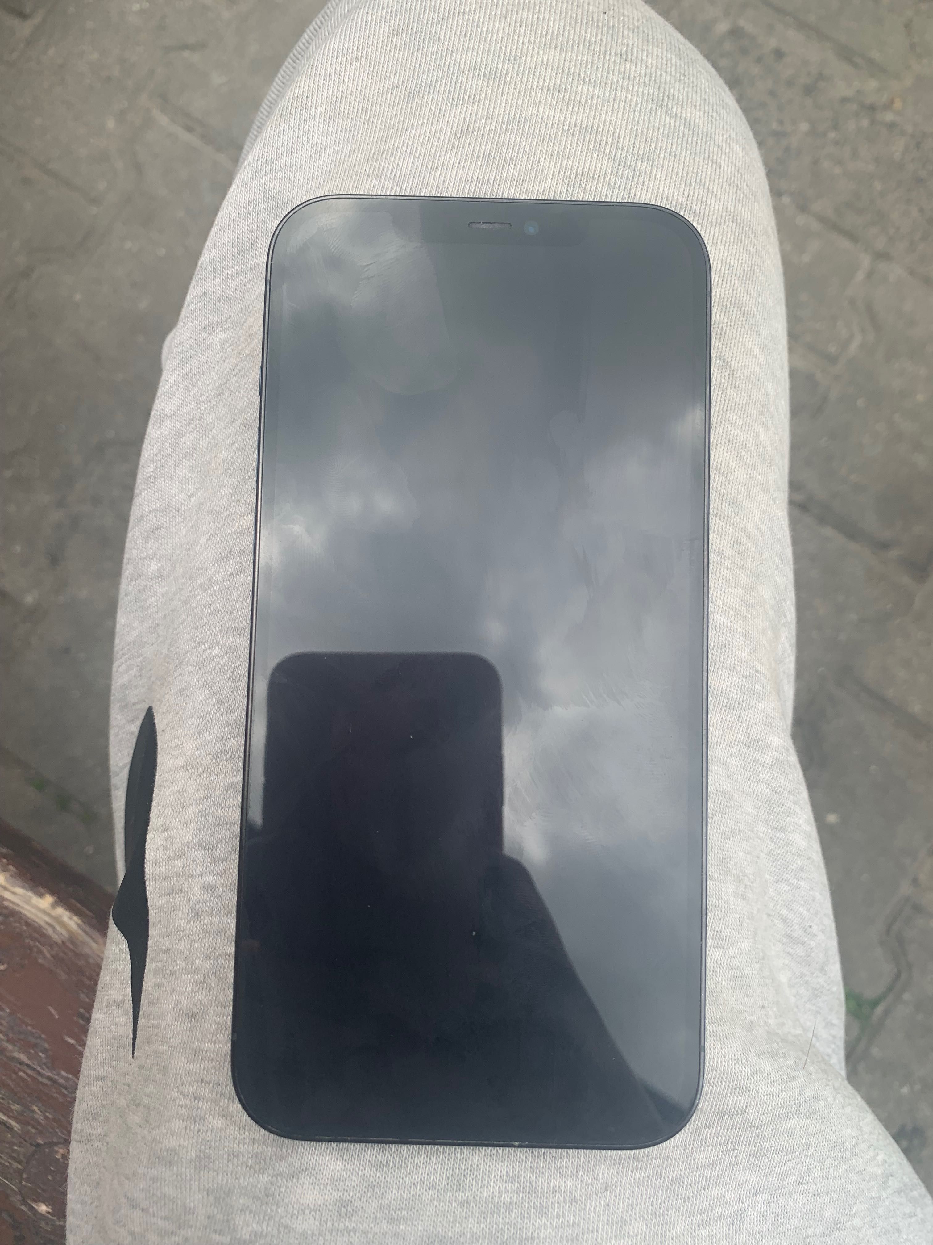 iPhone 12 Pro Max 256