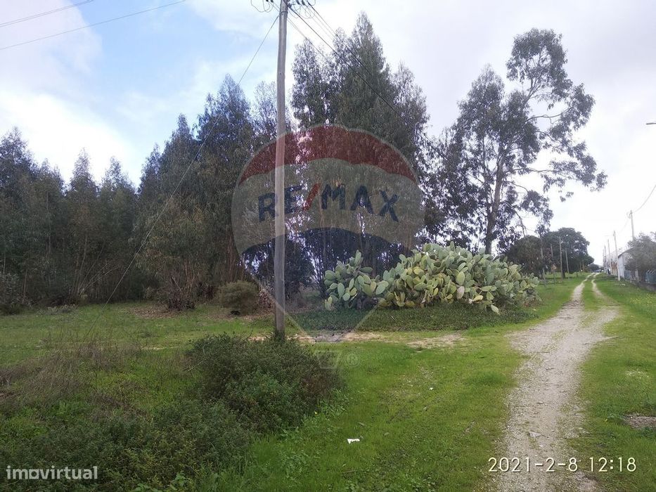 Terreno  para venda