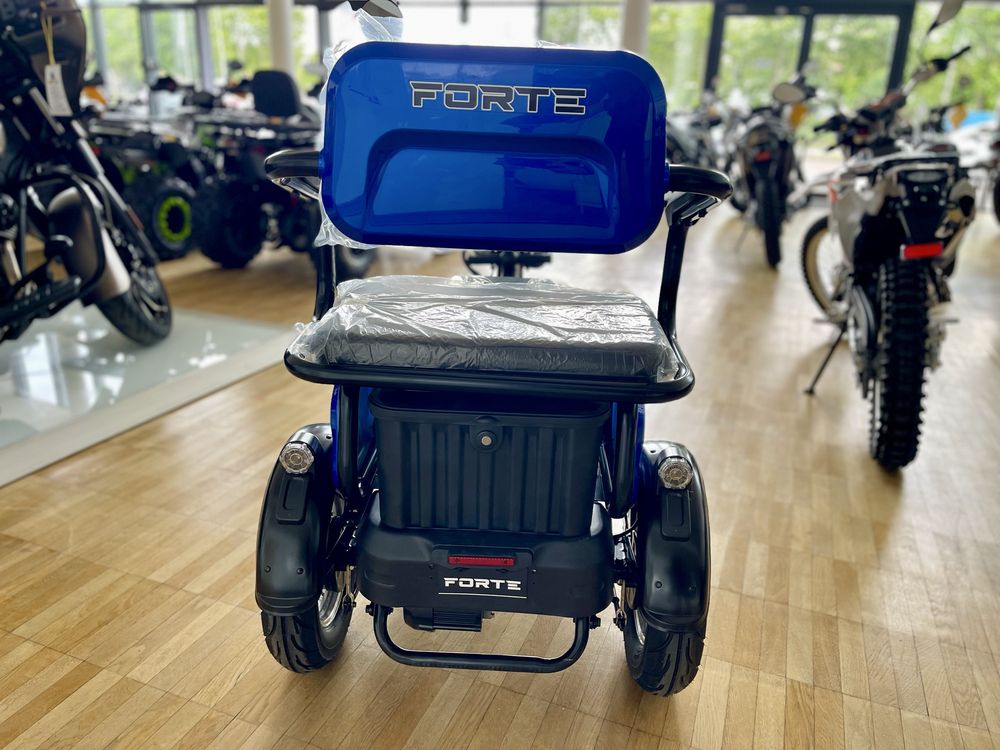 Трицикл акумуляторний Forte FAMILY-WS1000