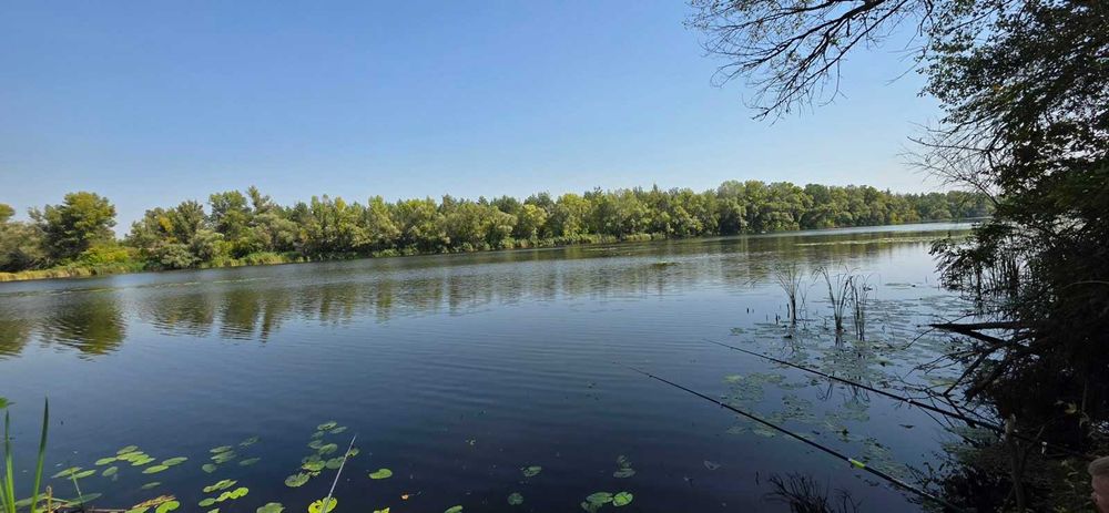 Продам дві ділянки у лісі з виходом до р.Орель, Царичанський район.
