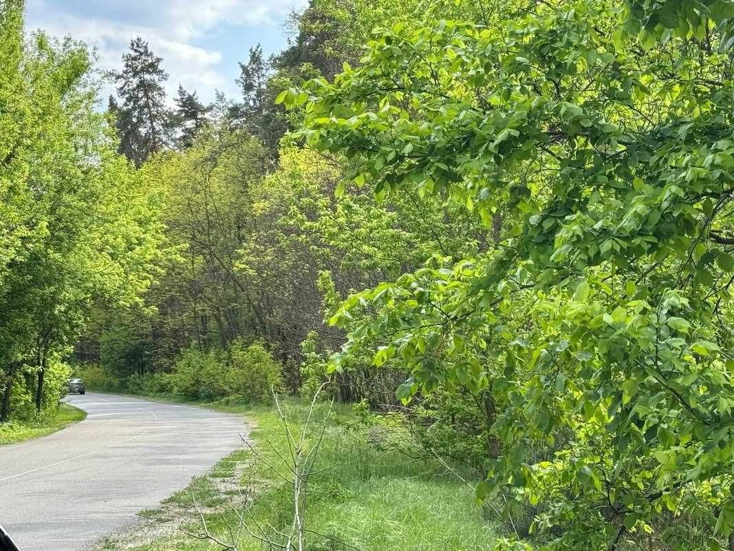 Масив землі у Воронькові для ведення бізнесу