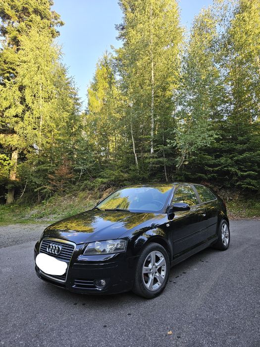 Audi A3 8P 1.6 MPI
