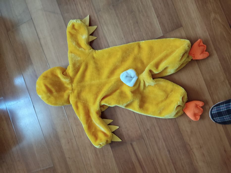 Vendo fato de carnaval