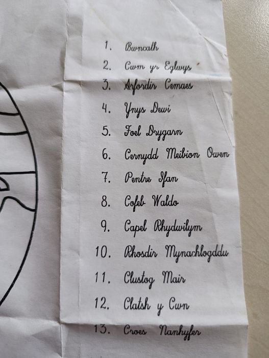 Колекційна фарфорова тарілка, оригінал Eisteddfod Genedlaethol Urdd Go