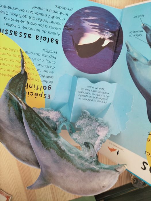 Livro - O oceano imagens 3D
