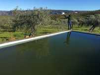 Terreno Agricola com casa