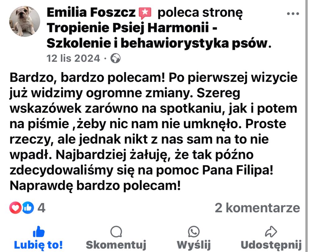 Behawiorysta i Szkolenie psów Poznań Swarzędz