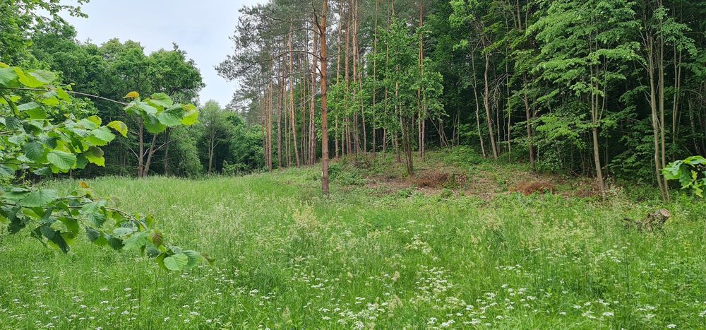 Działka budowlana Kajny (Warmia)