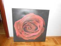 Piękny obraz czarno czerwony róża 70x70
