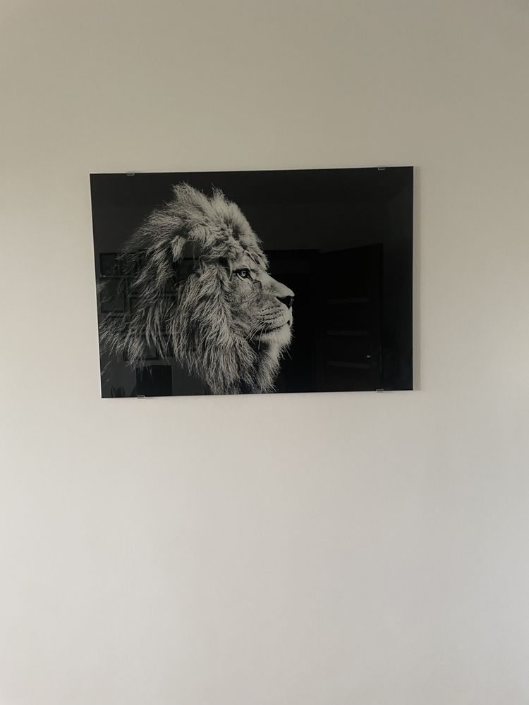 Obraz na szkle 100x70