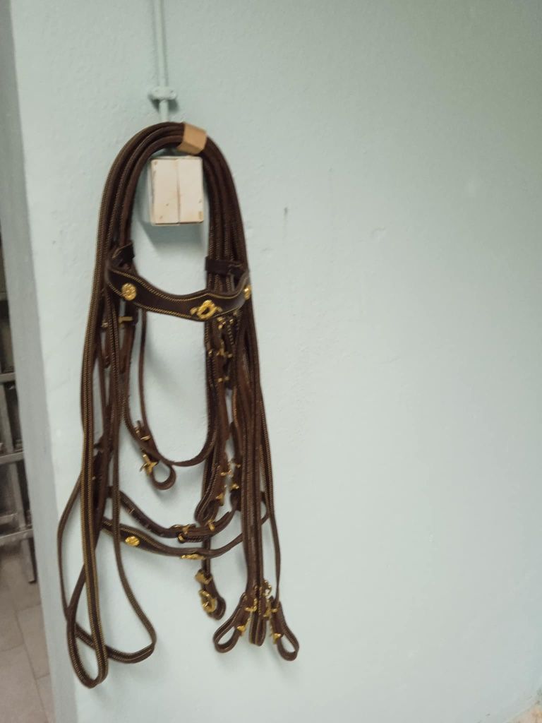 Vendo este material equestre
