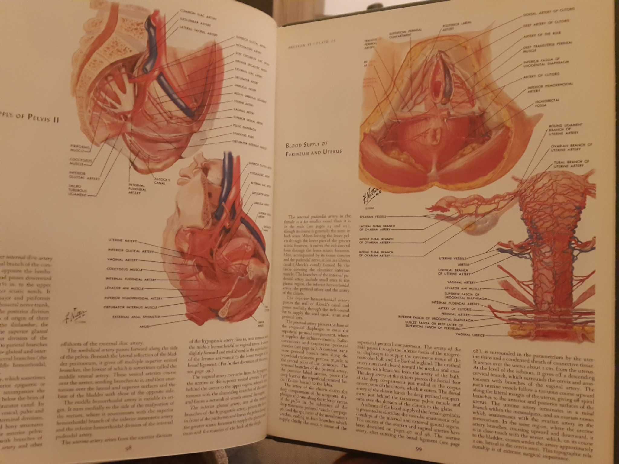 The Ciba Collection of Medical Illustration - 2. Reproductive System