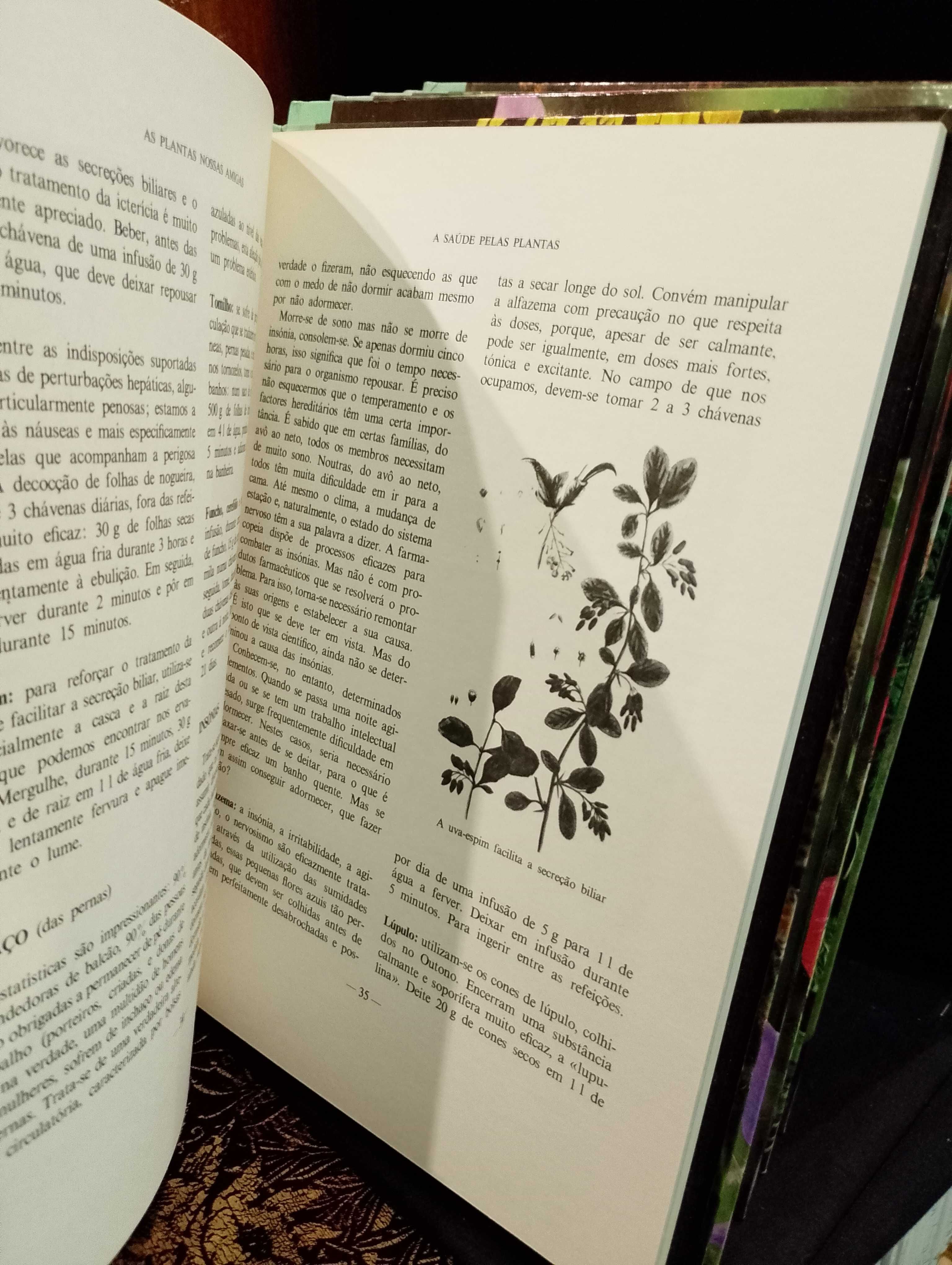 As plantas nossas amigas - Amigos do Livro (Coleção completa - 8 vol.)