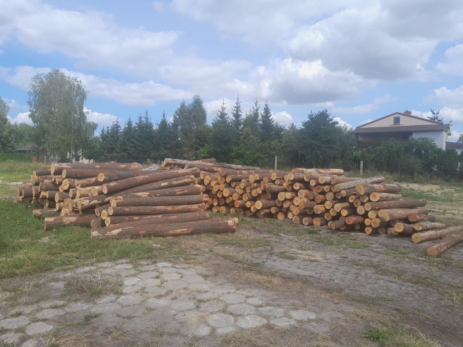 Tarcica obrzynana /Klejonka , sosnowa , olchowa , Sucha , Kłoda lub dl