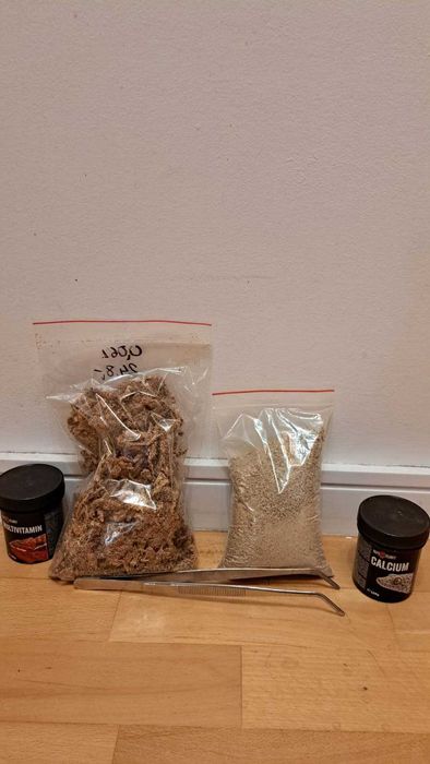 Zestaw akcesoriów po gekonie – suplementy, podłoże, pinceta