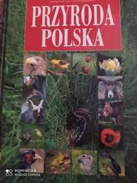 Album przyroda Polska