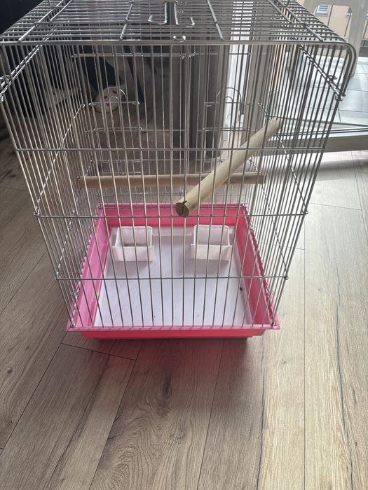 Klatka dla papugi ptaszka