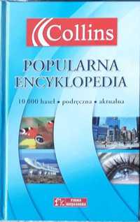 PREZENT POD CHOINKĘ - Popularna encyklopedia Collins