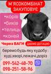Продам корову