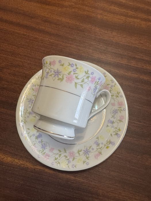6 Chavenas Vintage com pires