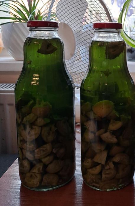 Wyciąg z orzecha włoskiego 100 ml