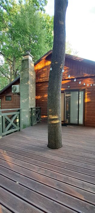 Domek w lesie - noclegi Energylandia Zator