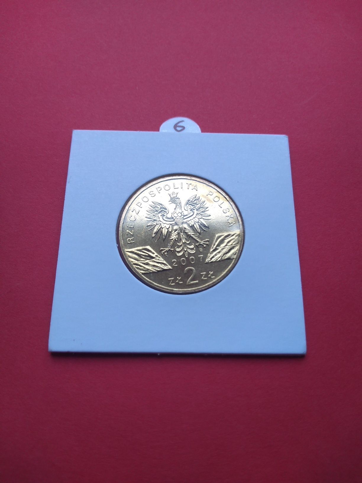Moneta 2 zł NG 2007 foka szara
