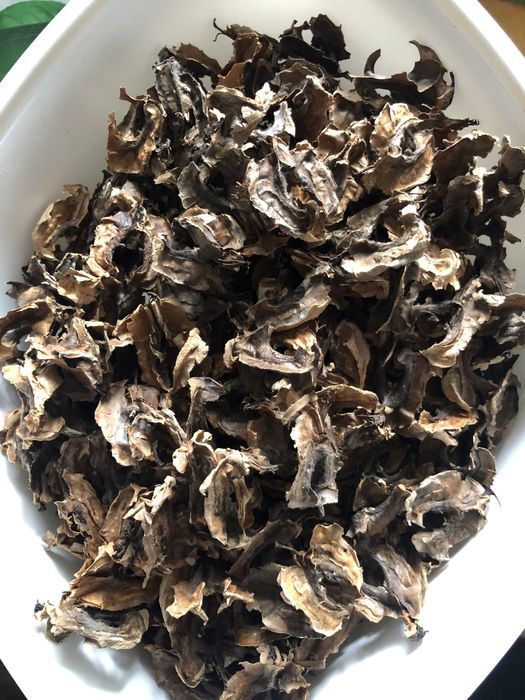 Внутрішні перепрнки горіха грецького