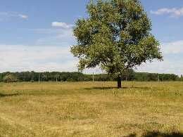 Земельна ділянка с. Семенівка під забудову, приватизована, 15 соток.