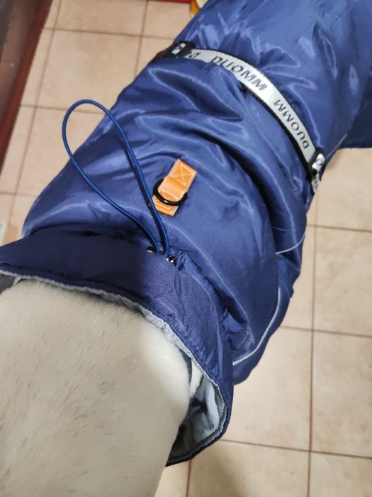 Derka 76cm zimowa dla Doga Cane Corso itp