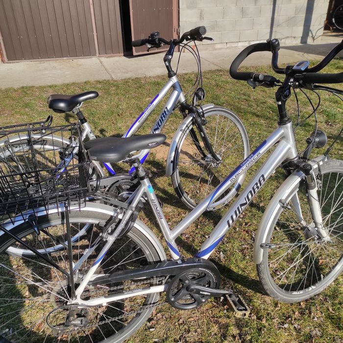 Rower trekkingowy Winora